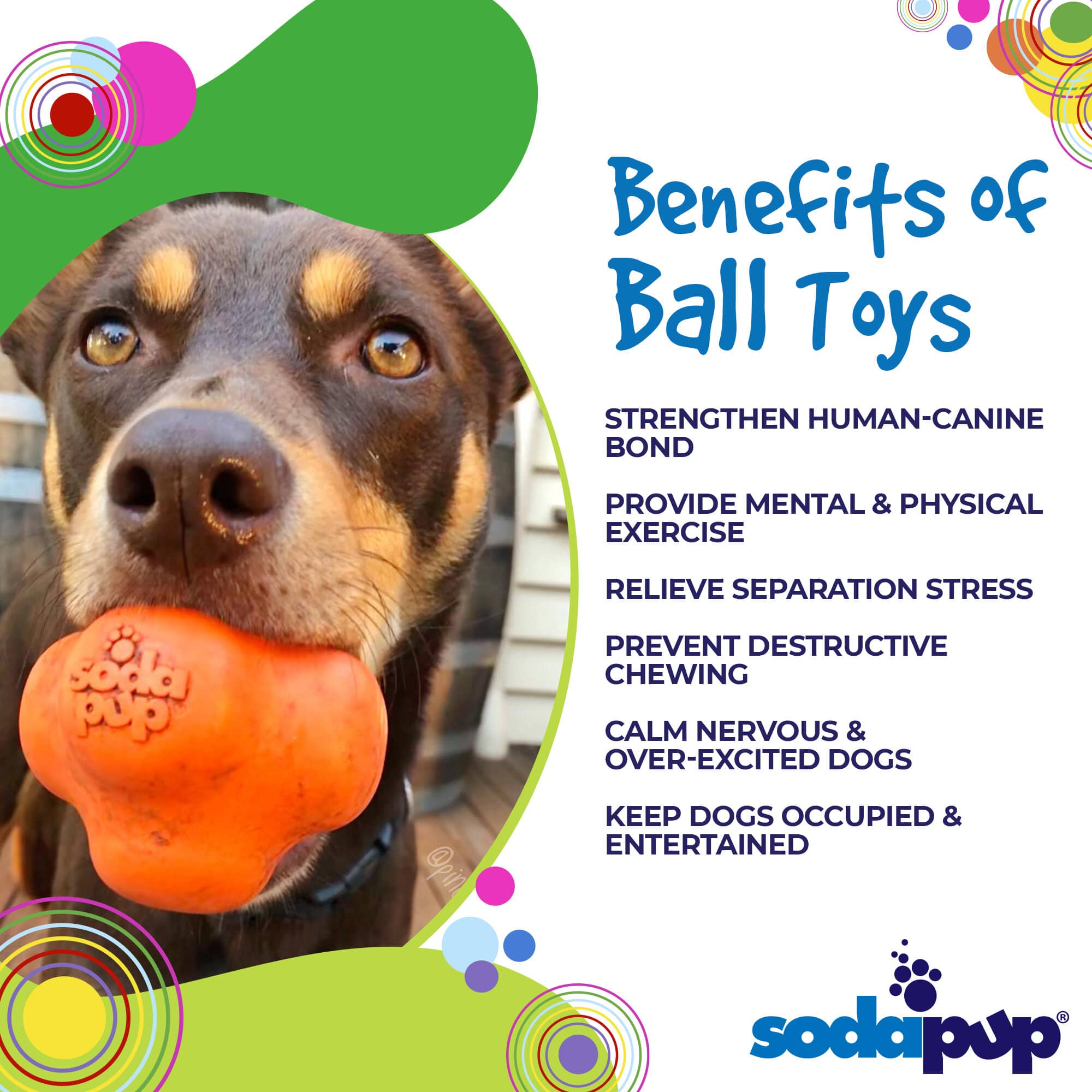 Crazy Bounce Solid Rubber Chew & Fetch Ball for Large Dogs