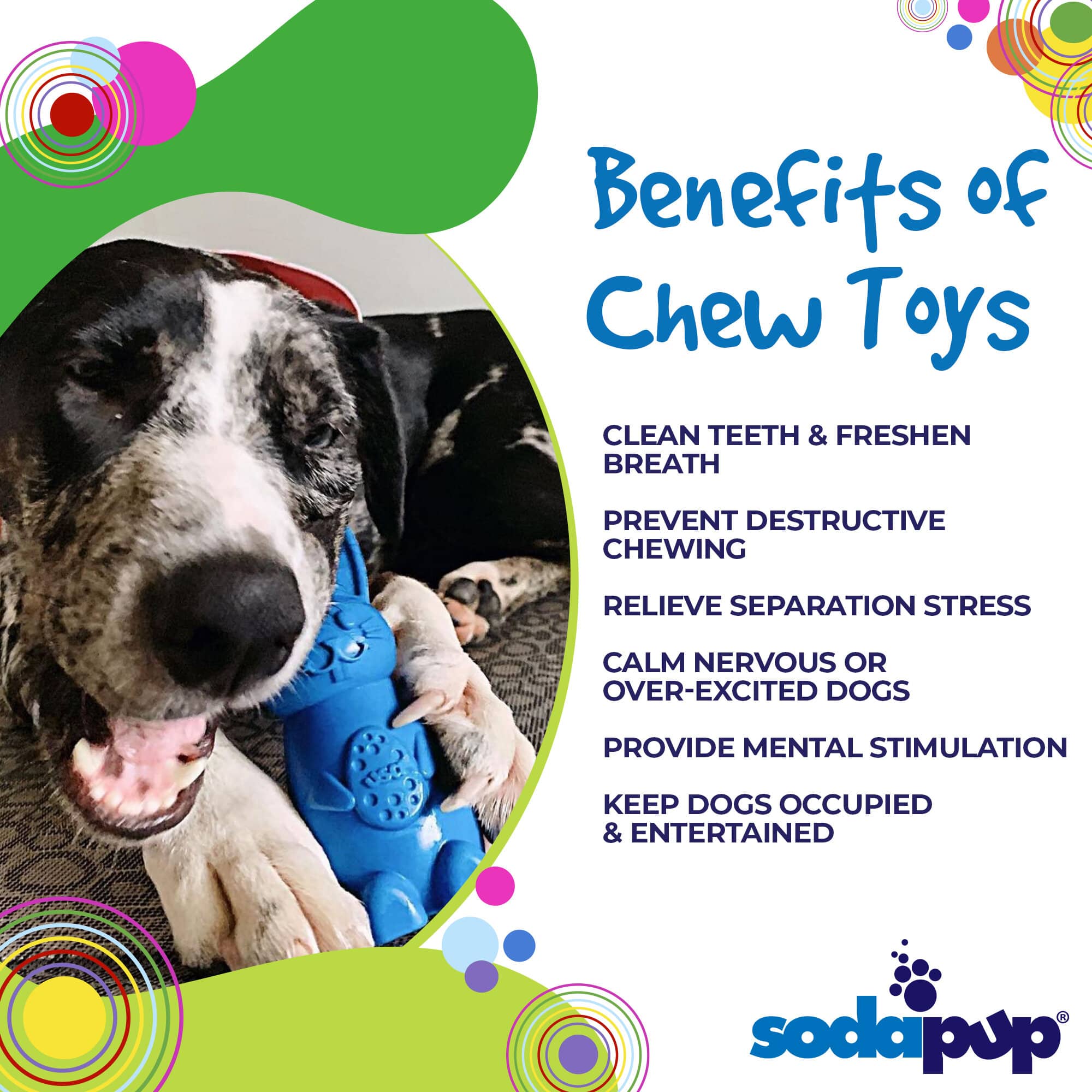 Bunny eChew Durable Nylon Dog Chew and Enrichment Toy