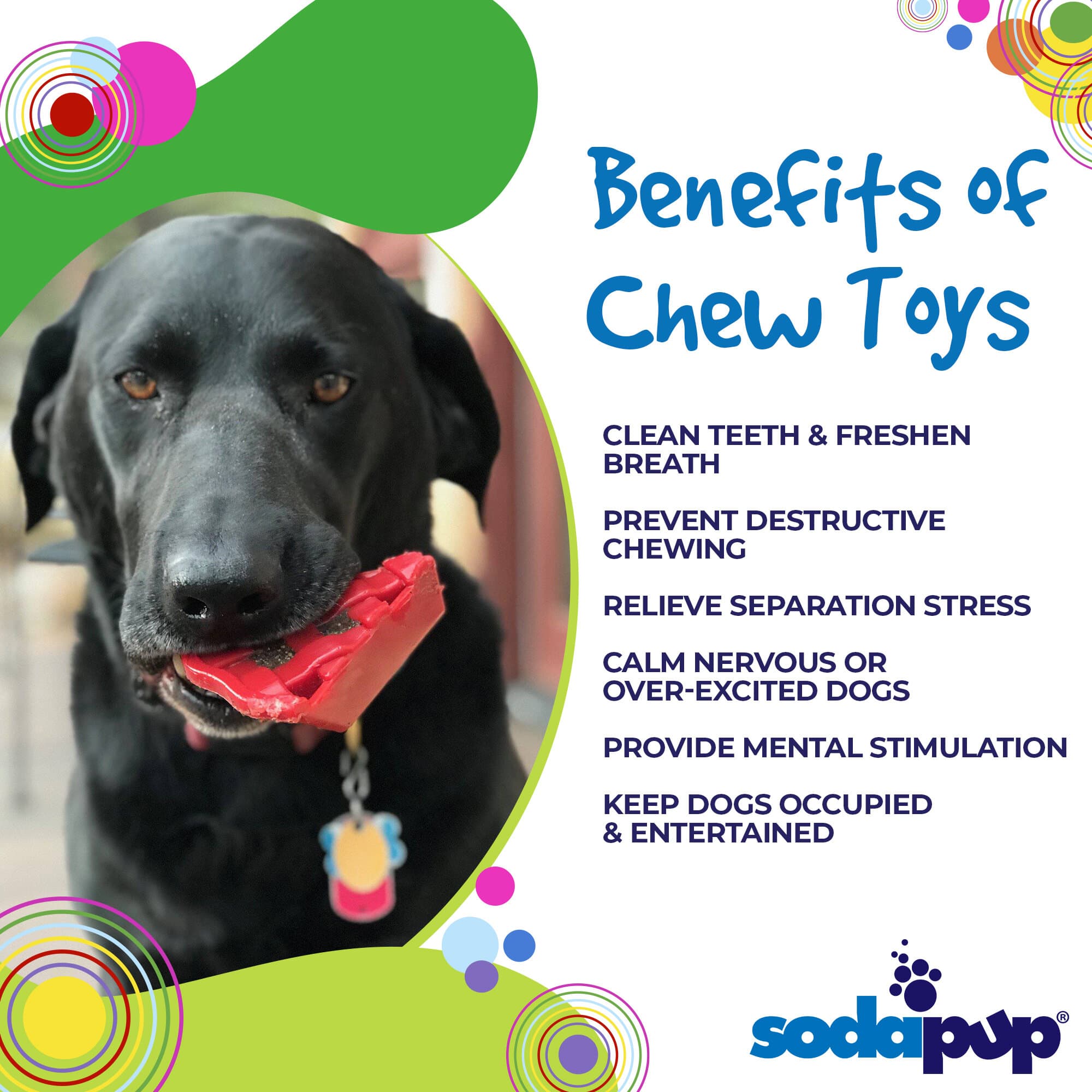 Cherry Pie Ultra Durable Nylon Dog Chew Toy & Treat Holder