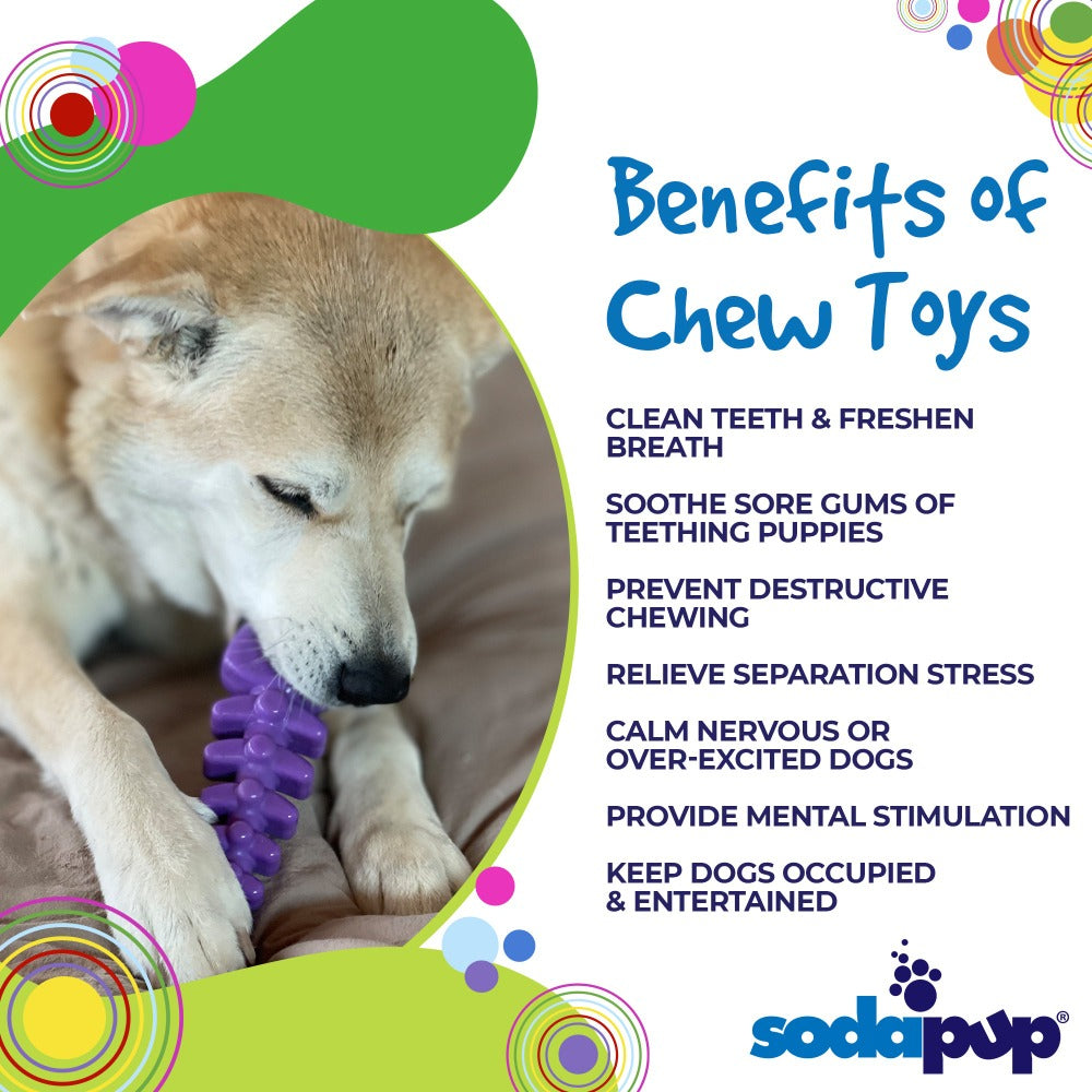 Fish Bone Ultra Durable Nylon Chew Toy for Dogs, Purple
