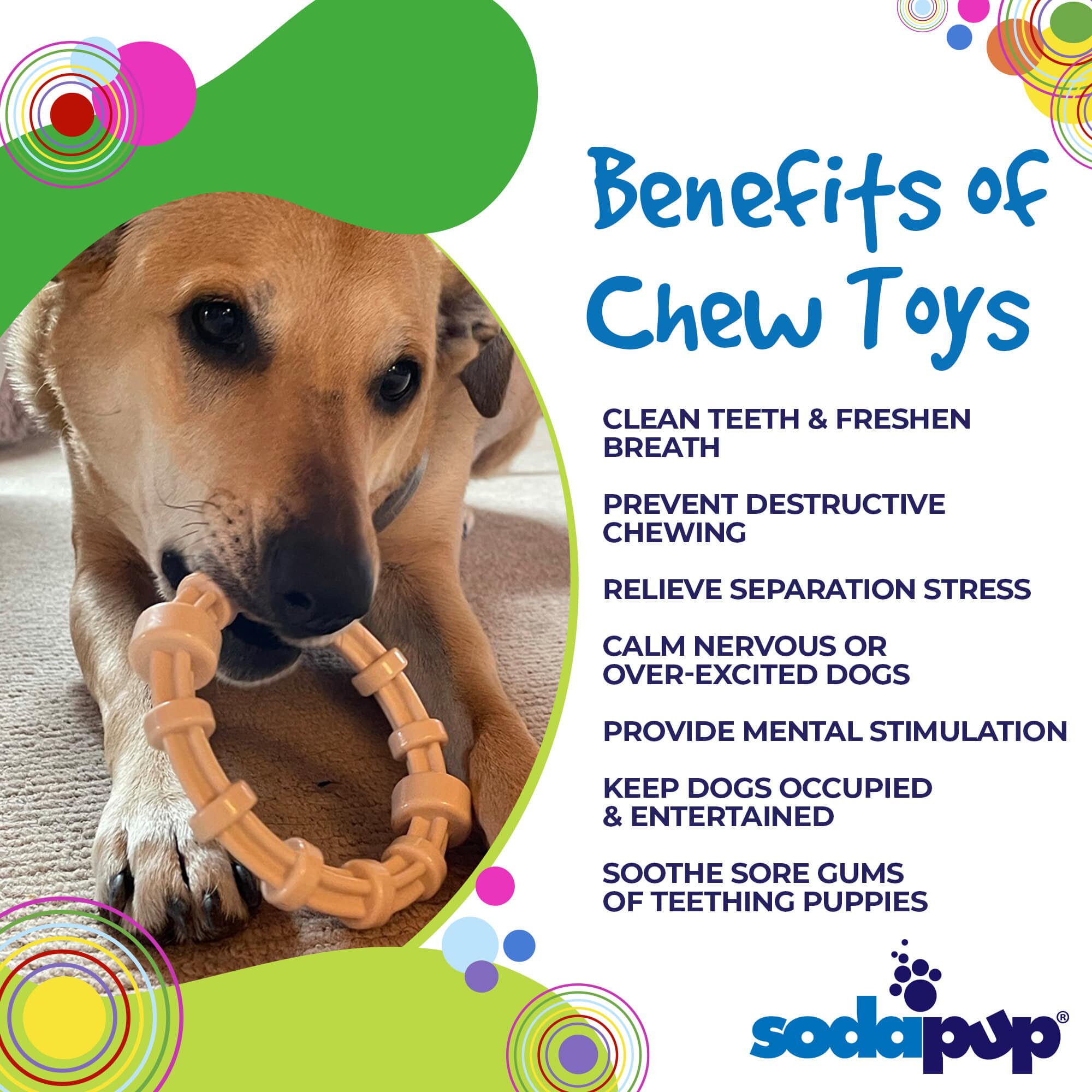 Honey Bone Chicken Flavored Teething Ring for Dogs, 5.25"