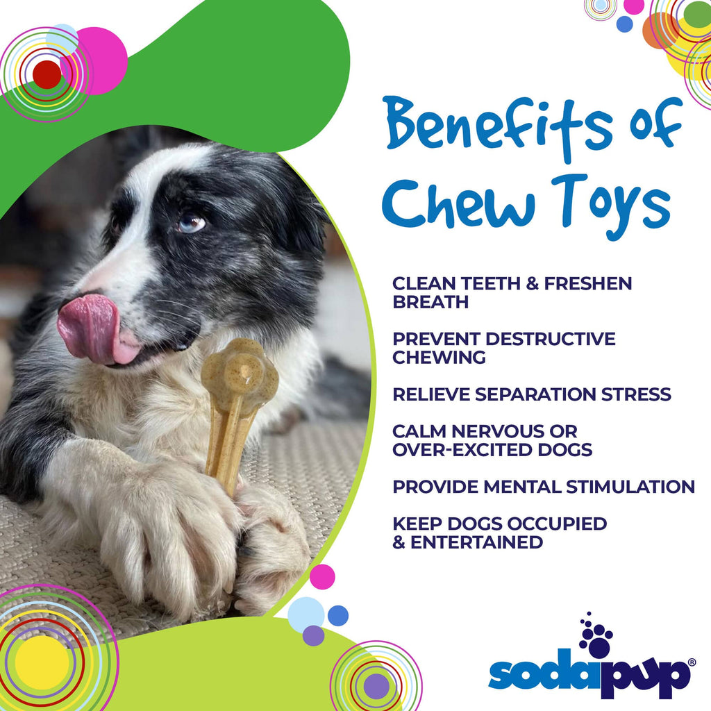 Knuckle Bone Ultra Durable Nylon Dog Chew Toy XL