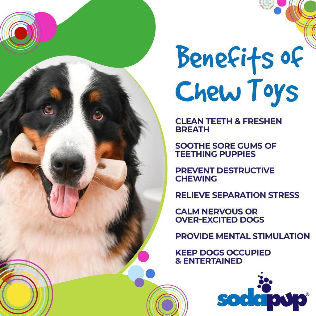 MOD Bone Ultra Durable Nylon Dog Chew Toy, 7.5" for Aggressive Chewers