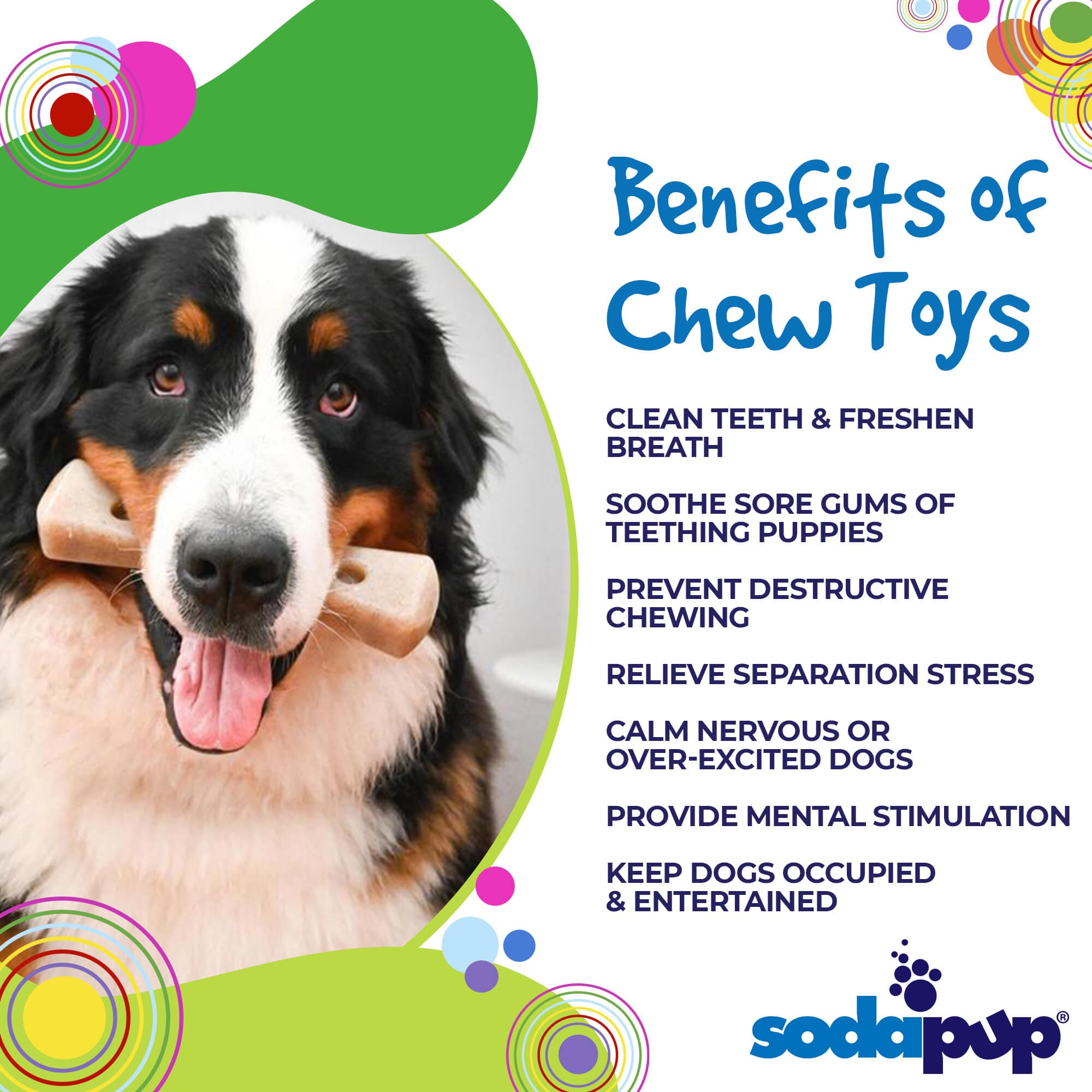 MOD Bone Ultra Durable Nylon Dog Chew Toy, 7.5" for Aggressive Chewers