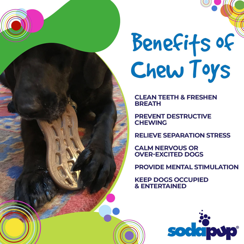 Peanut Nylon Dog Chew Toy for Aggressive Chewers, Large Breeds