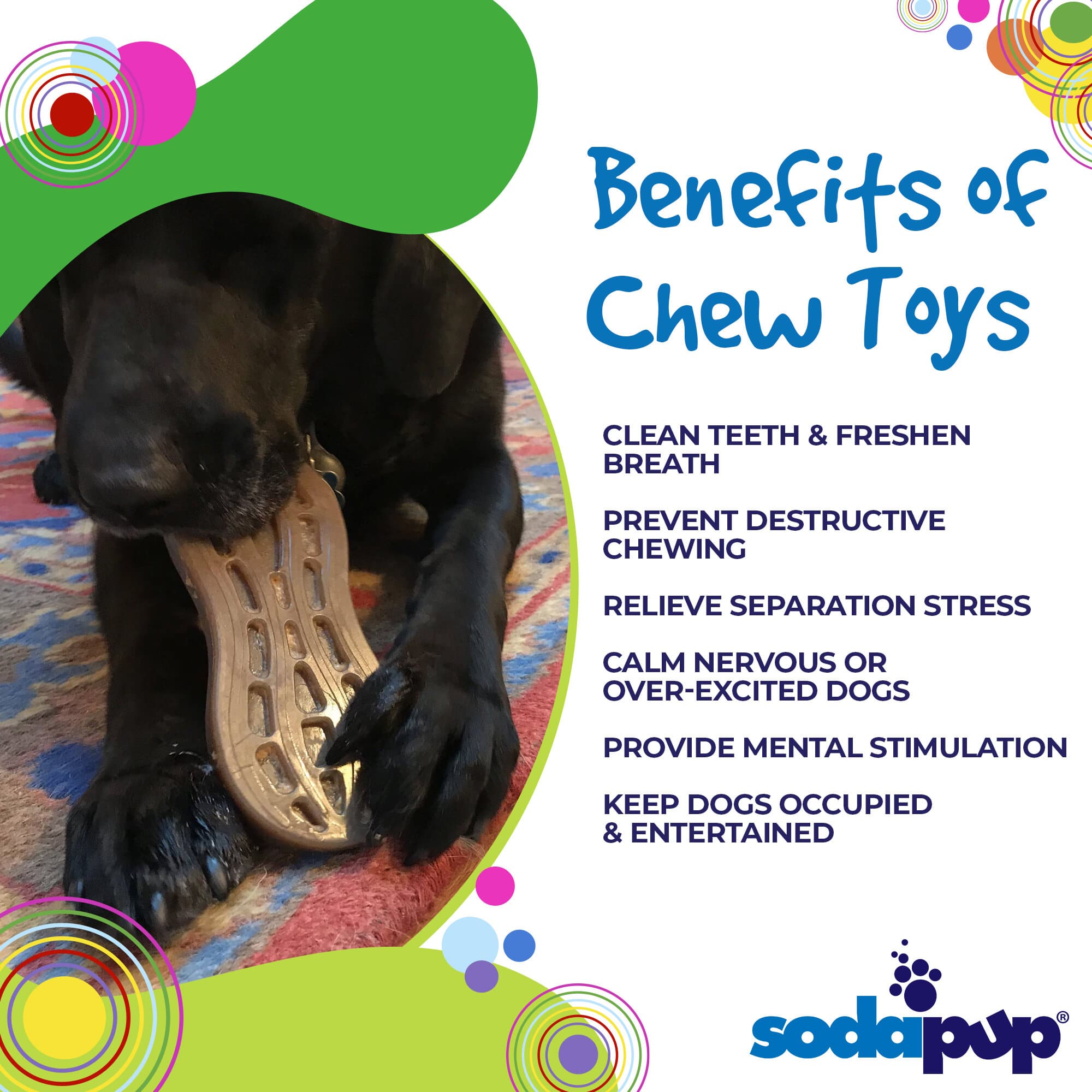 Peanut Nylon Dog Chew Toy for Aggressive Chewers, Large Breeds