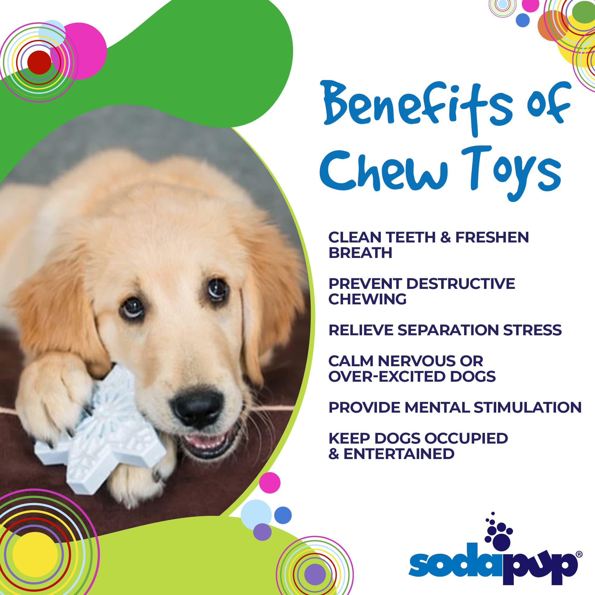 Snowflake Ultra Durable Nylon Dog Chew Toy with Treat Pockets
