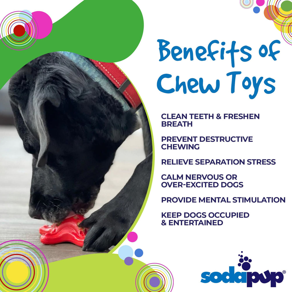 Starfish Ultra Durable Nylon Dog Chew Toy with Treat Pockets