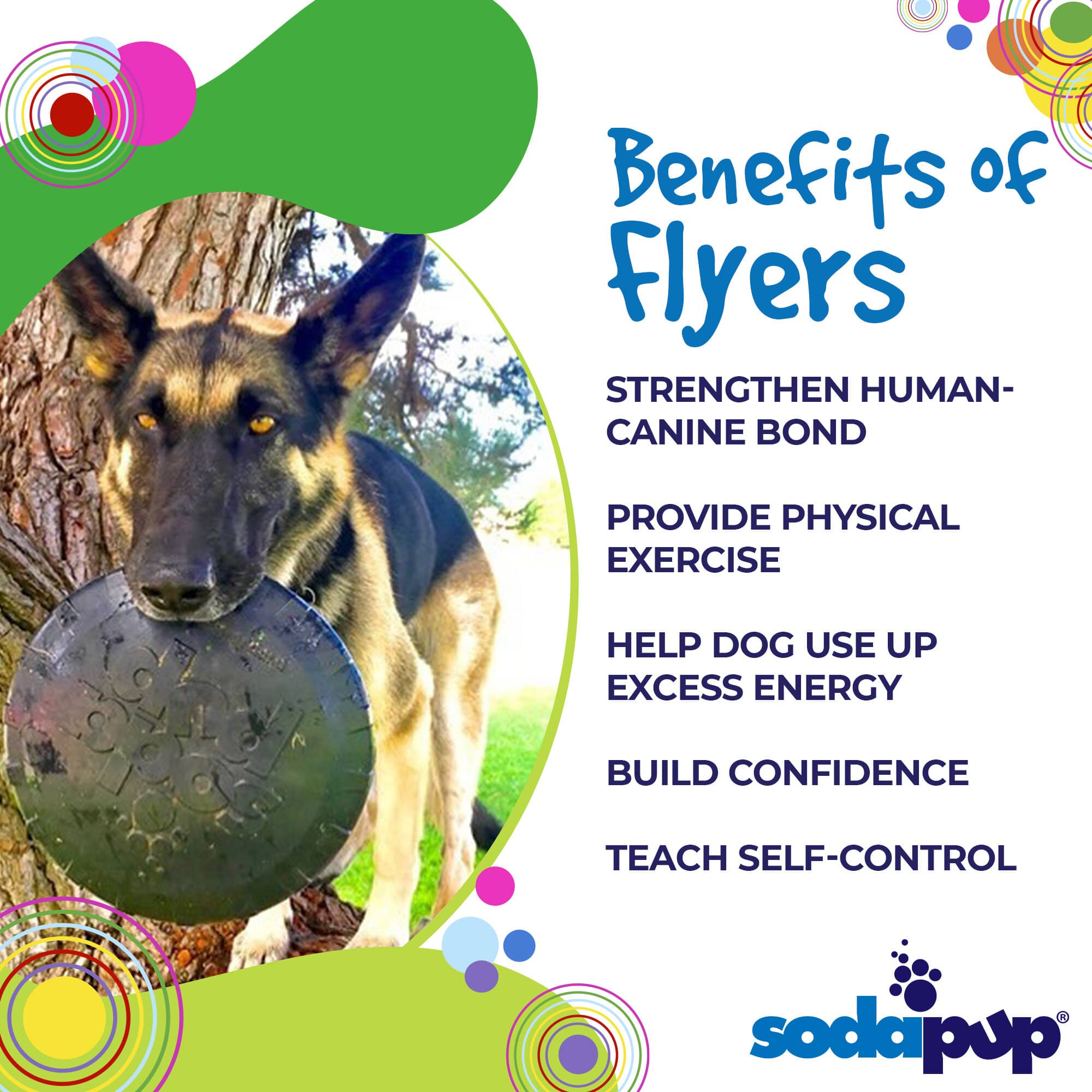 Magnum Bottle Top Flyer Large Rubber Dog Frisbee for Power Chewers