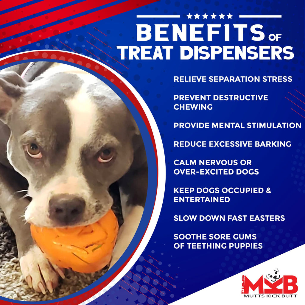 Roasted Turkey Dog Chew Toy & Treat Dispenser for Large Dogs