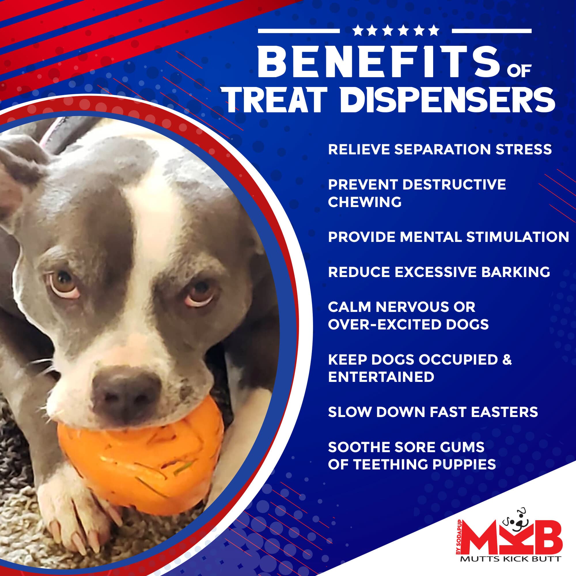 Roasted Turkey Dog Chew Toy & Treat Dispenser for Large Dogs
