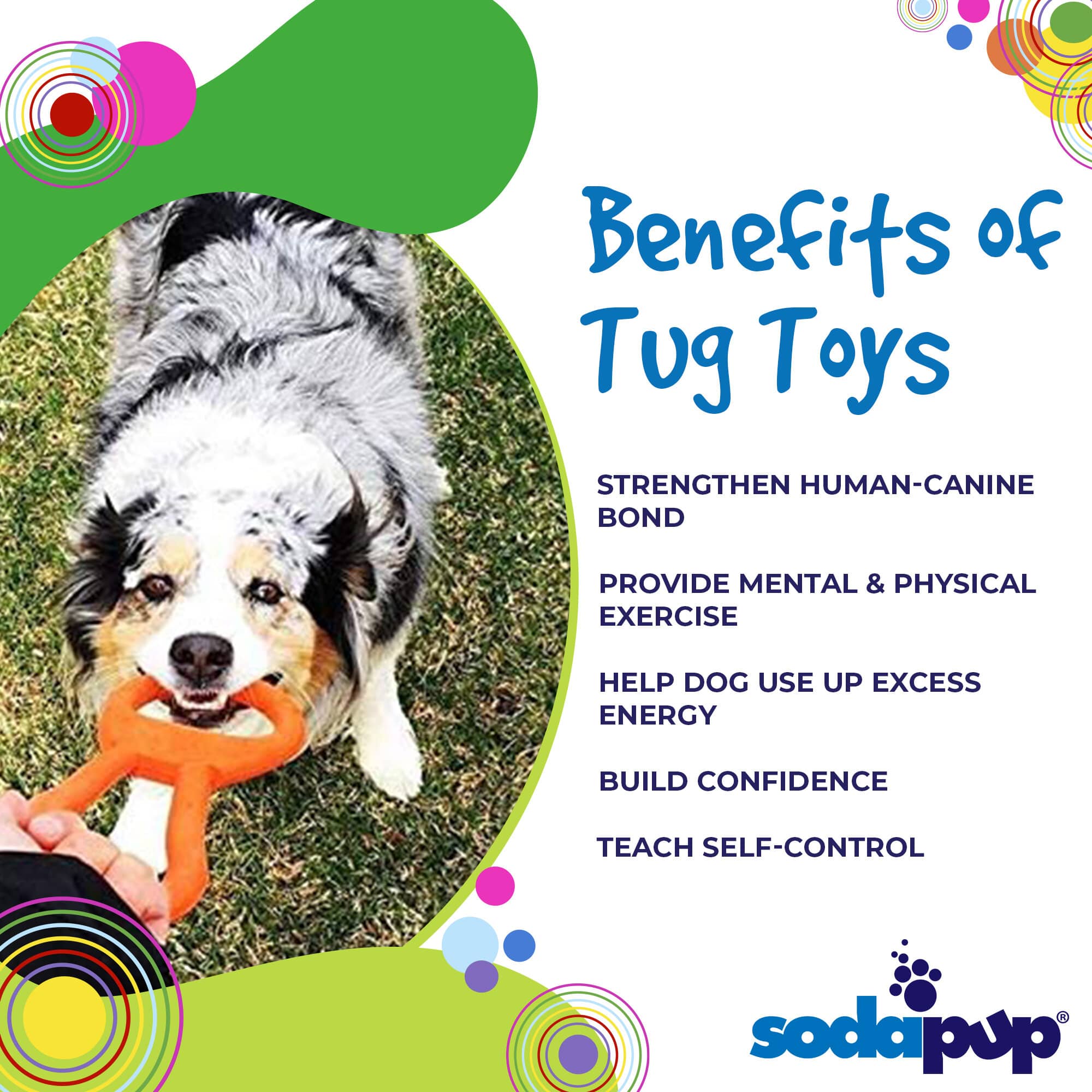 Pop Top Rubber Tug Toy for Dogs – Durable Natural Rubber, 12"