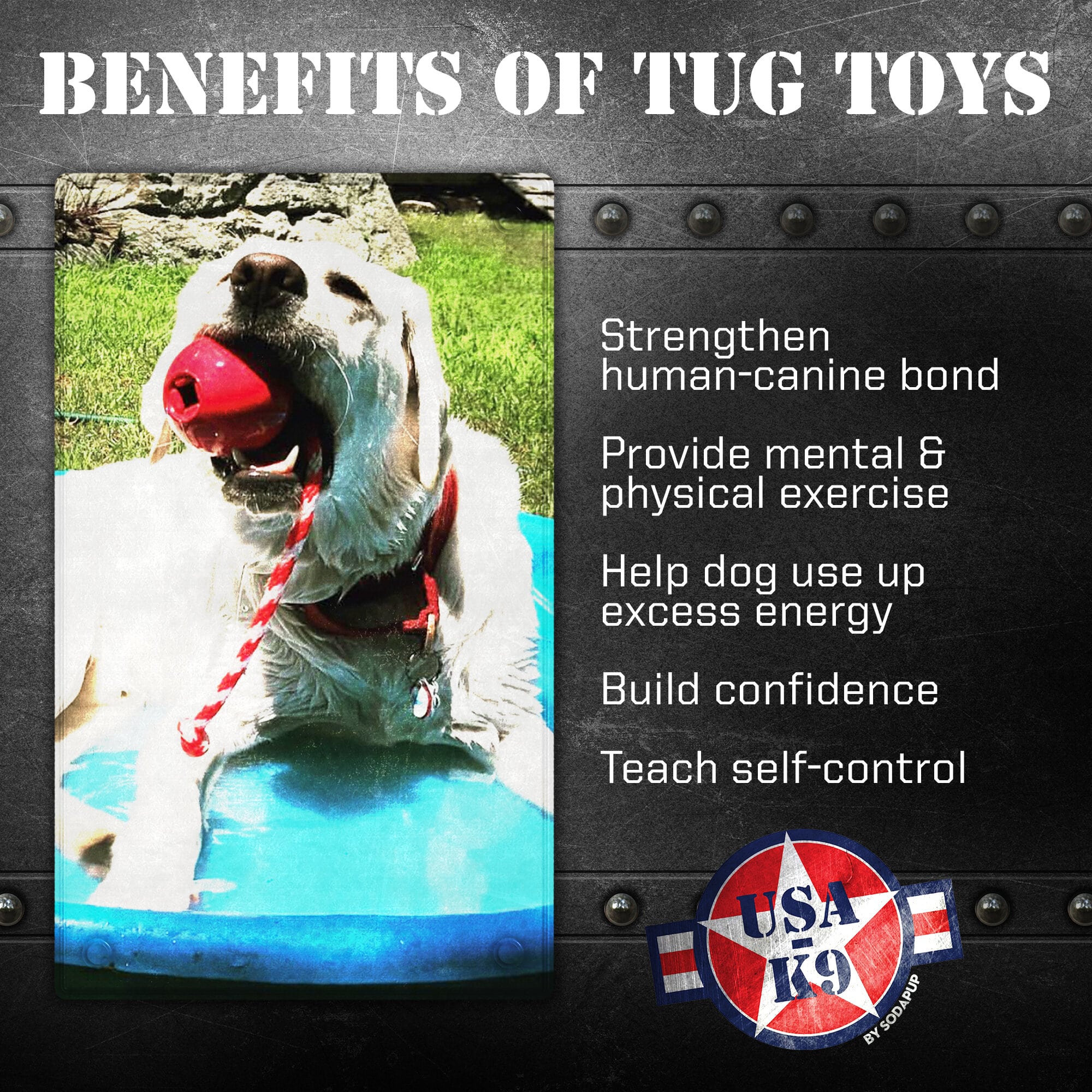 USA-K9 Cherry Bomb Rubber Dog Chew Toy, 4-in-1 Enrichment