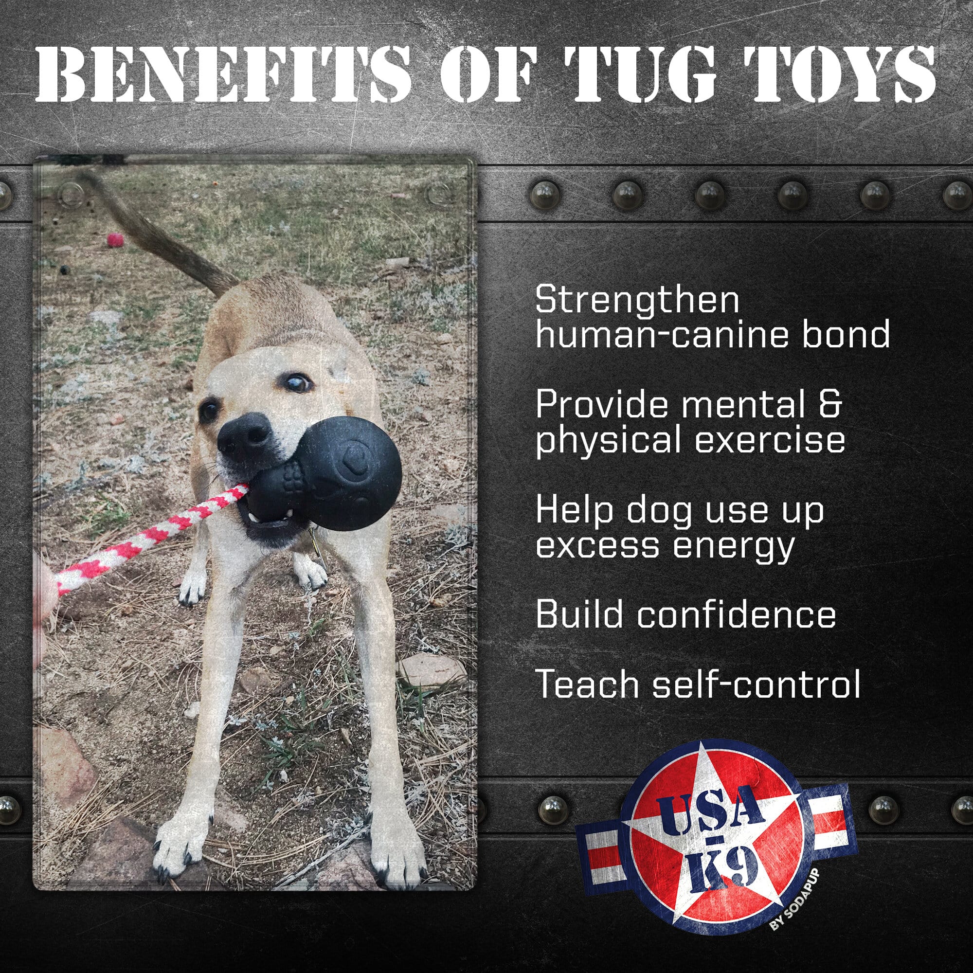 USA-K9 Magnum Skull Durable Rubber Chew Toy for Large Dogs