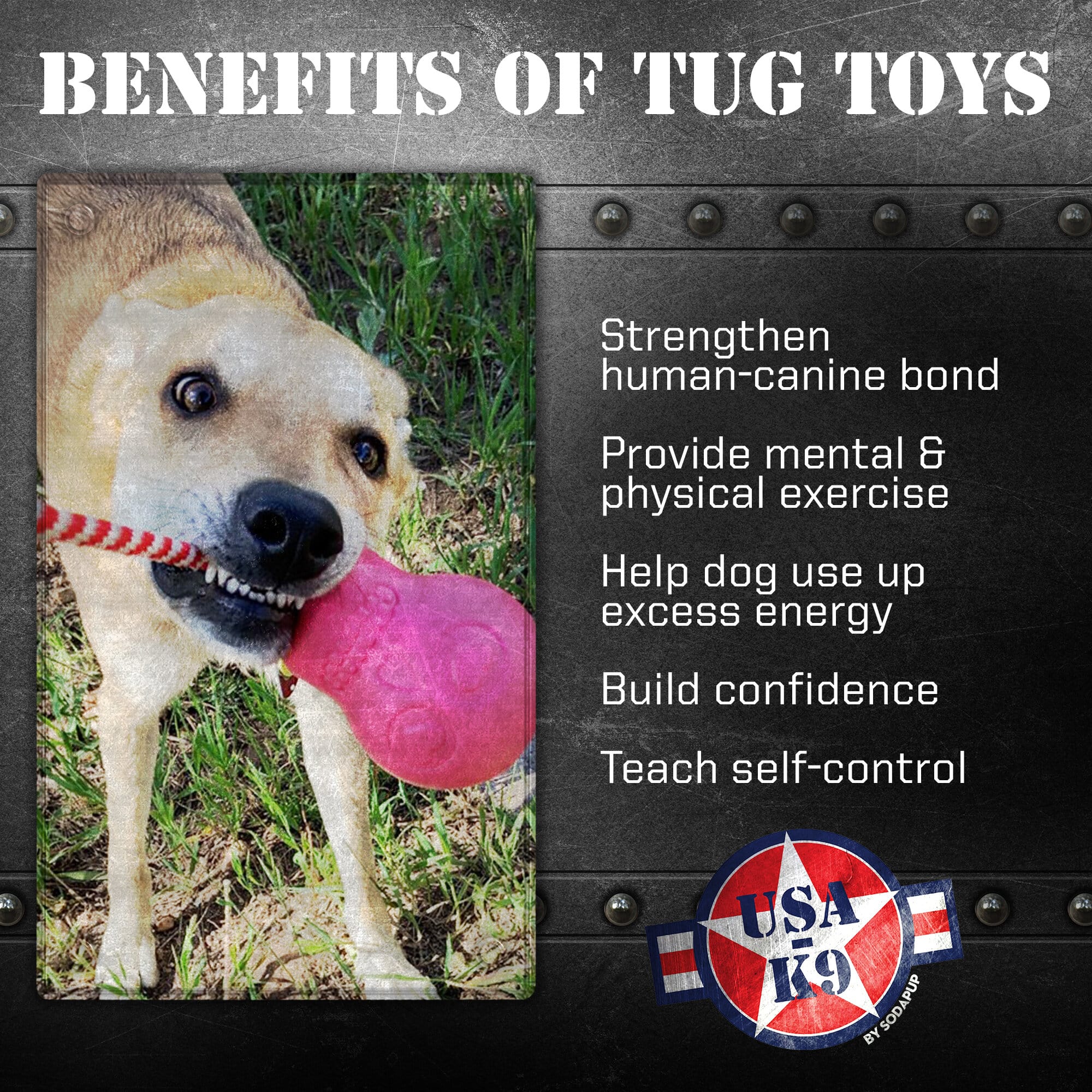 USA-K9 Skull Dog Chew Toy & Treat Dispenser, Large, Pink Rubber