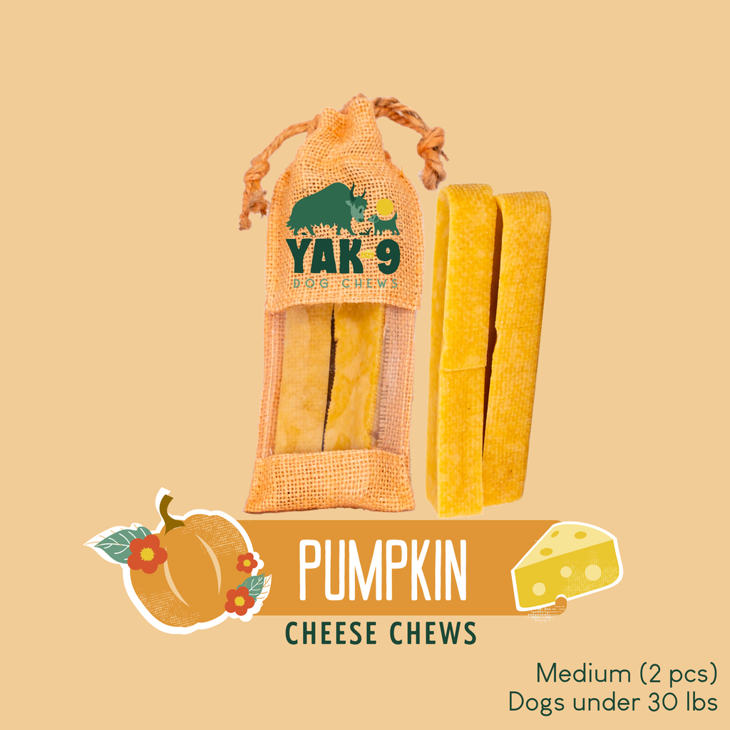 Pumpkin Yak Cheese Dog Chews with Organic Pumpkin