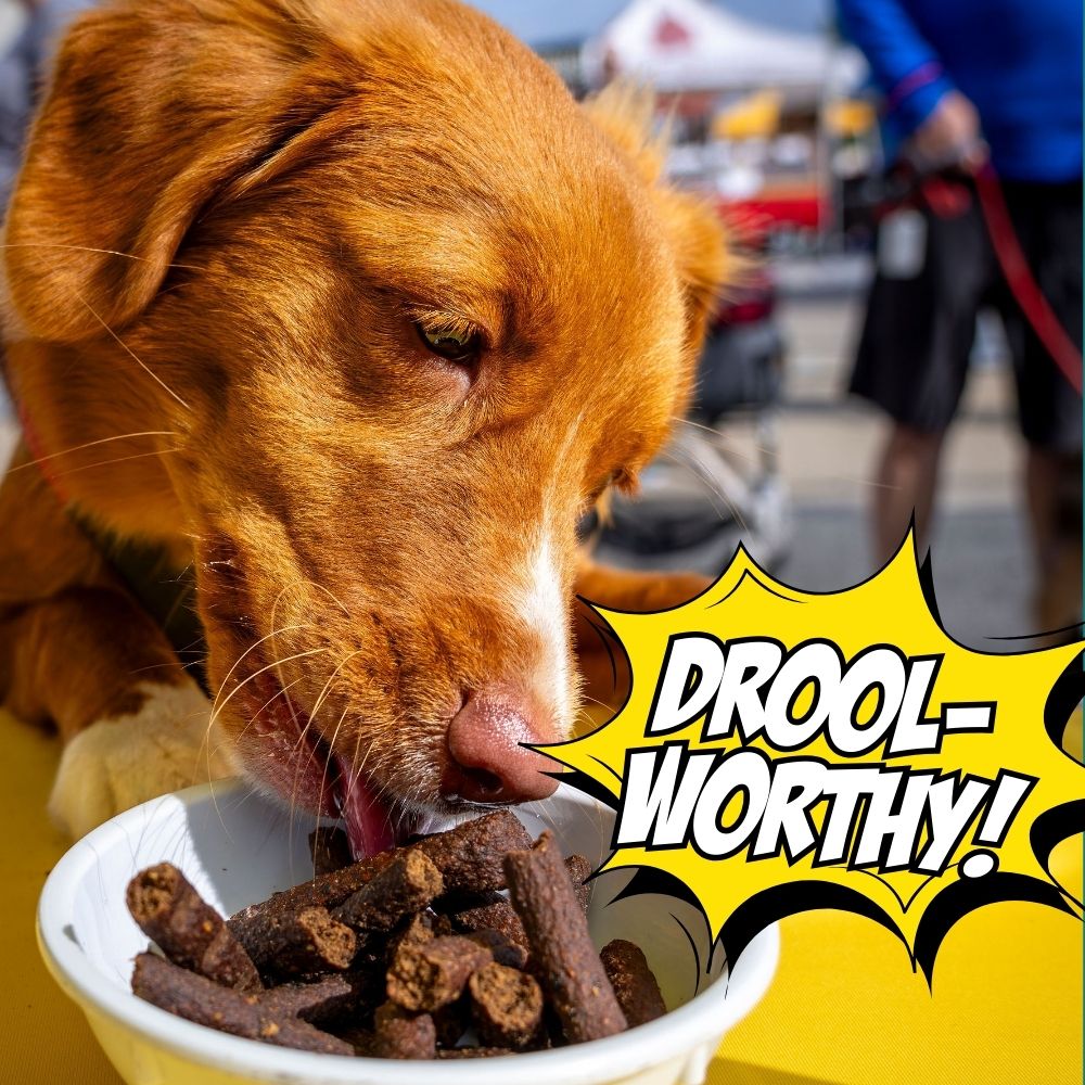 Celebration Sticks Dog Treats with Wild-Caught Silver Carp & Pumpkin