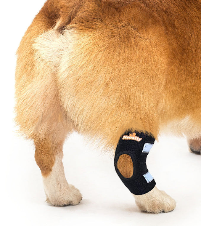 Back Hock Dog Braces, Pair – Neoprene and Nylon Support