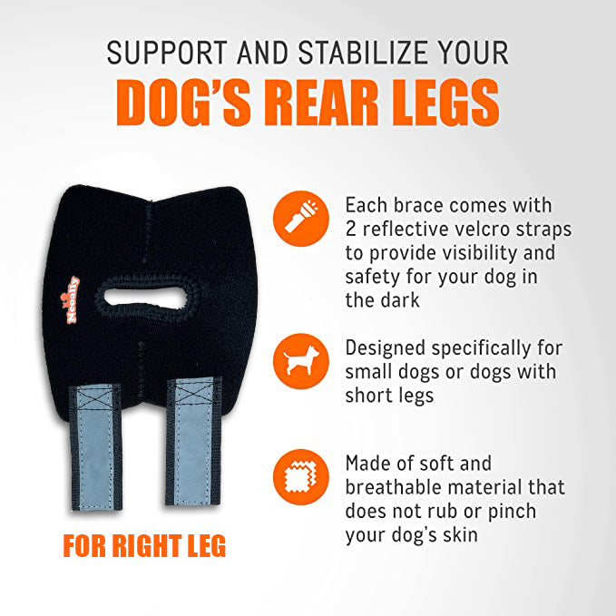 Back Hock Dog Braces, Pair – Neoprene and Nylon Support