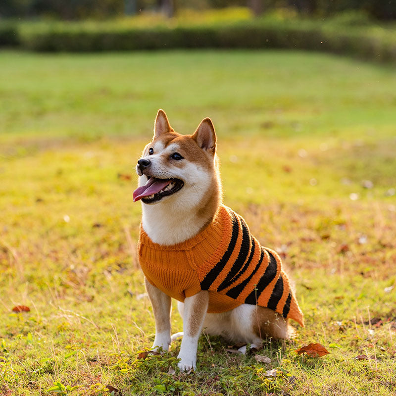 Halloween Dog Sweater – Acrylic Knit, Multiple Colors & Sizes