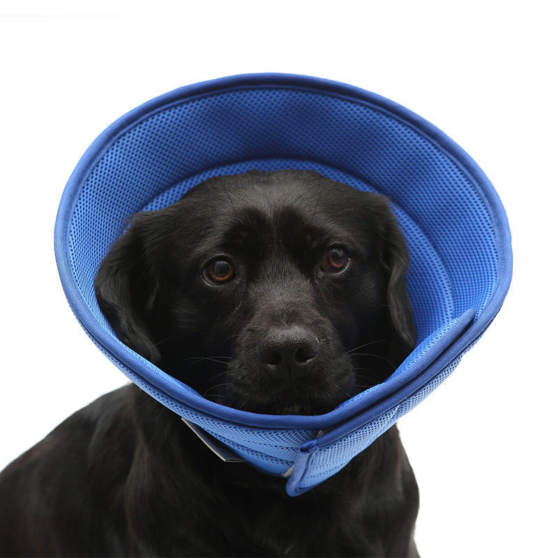Adjustable Soft Cat Collar – Lightweight Non-Woven Fabric