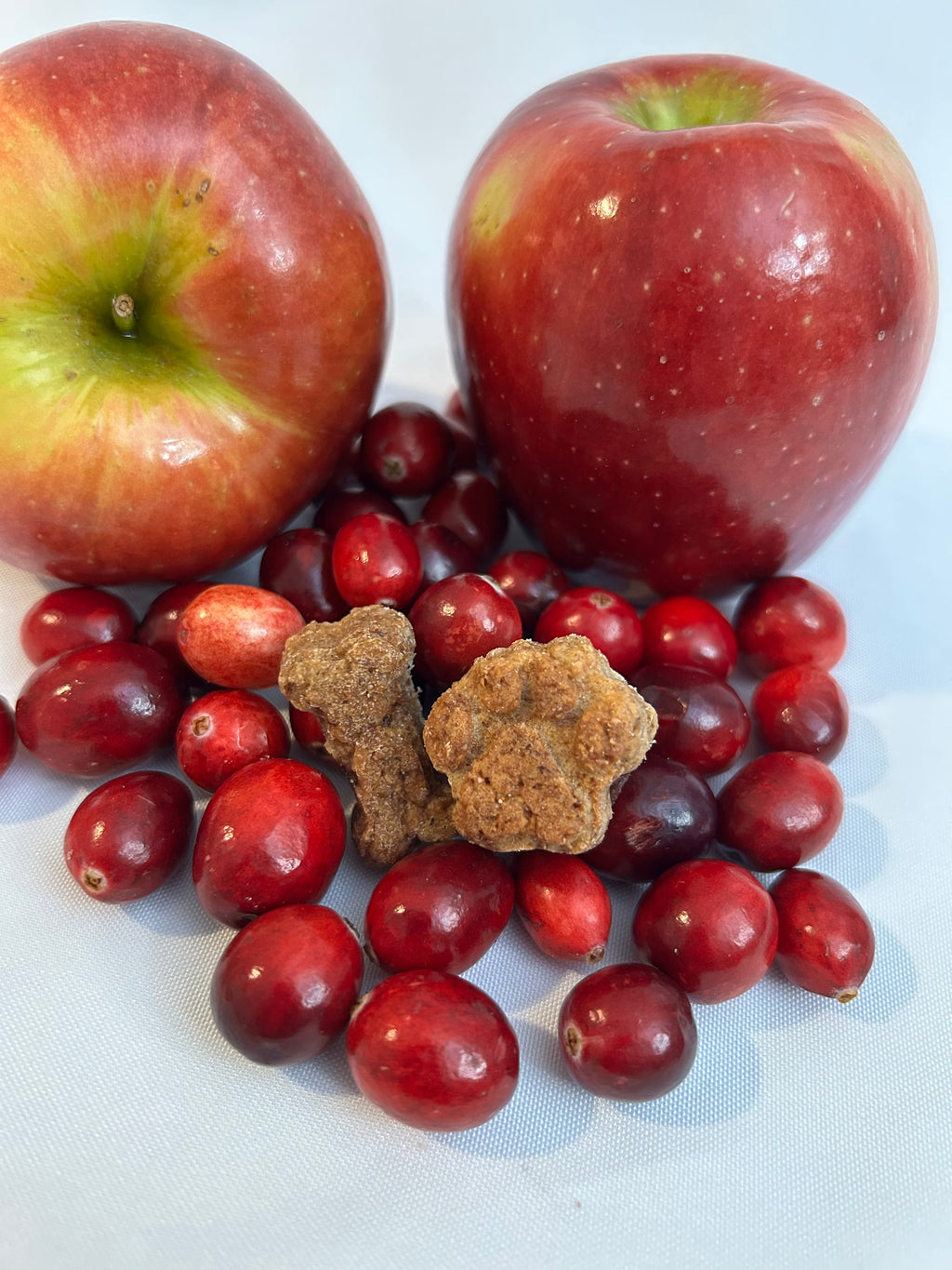 Apple & Cranberry Dog Treats with Whole Wheat Flour