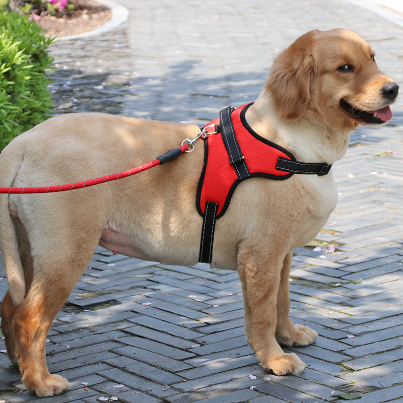 Dog Chest Harness and Leash Set, Durable Nylon, Multiple Sizes