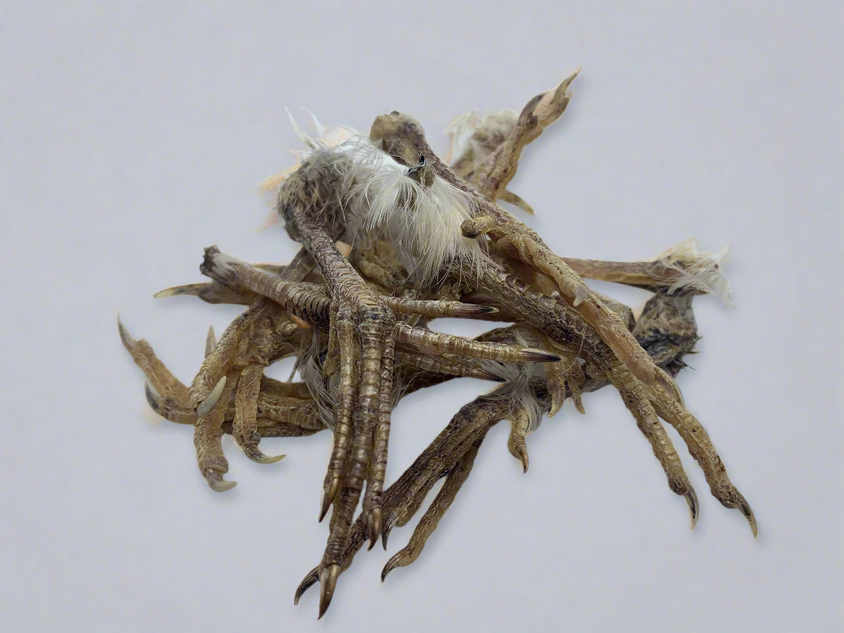 Quail Feet Dog Training Aid & Natural Treat