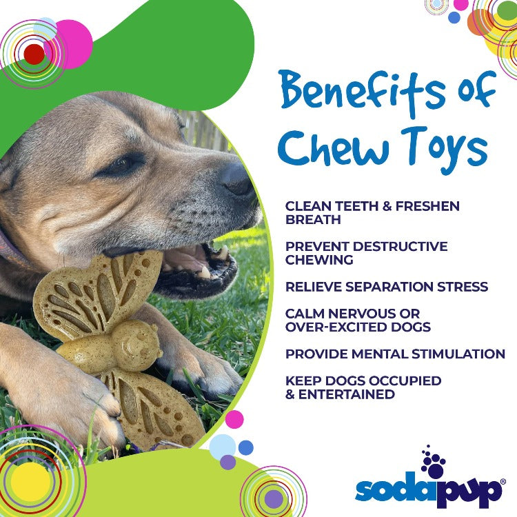 Butterfly 2-in-1 Chew and Enrichment Toy for Dogs, Nylon
