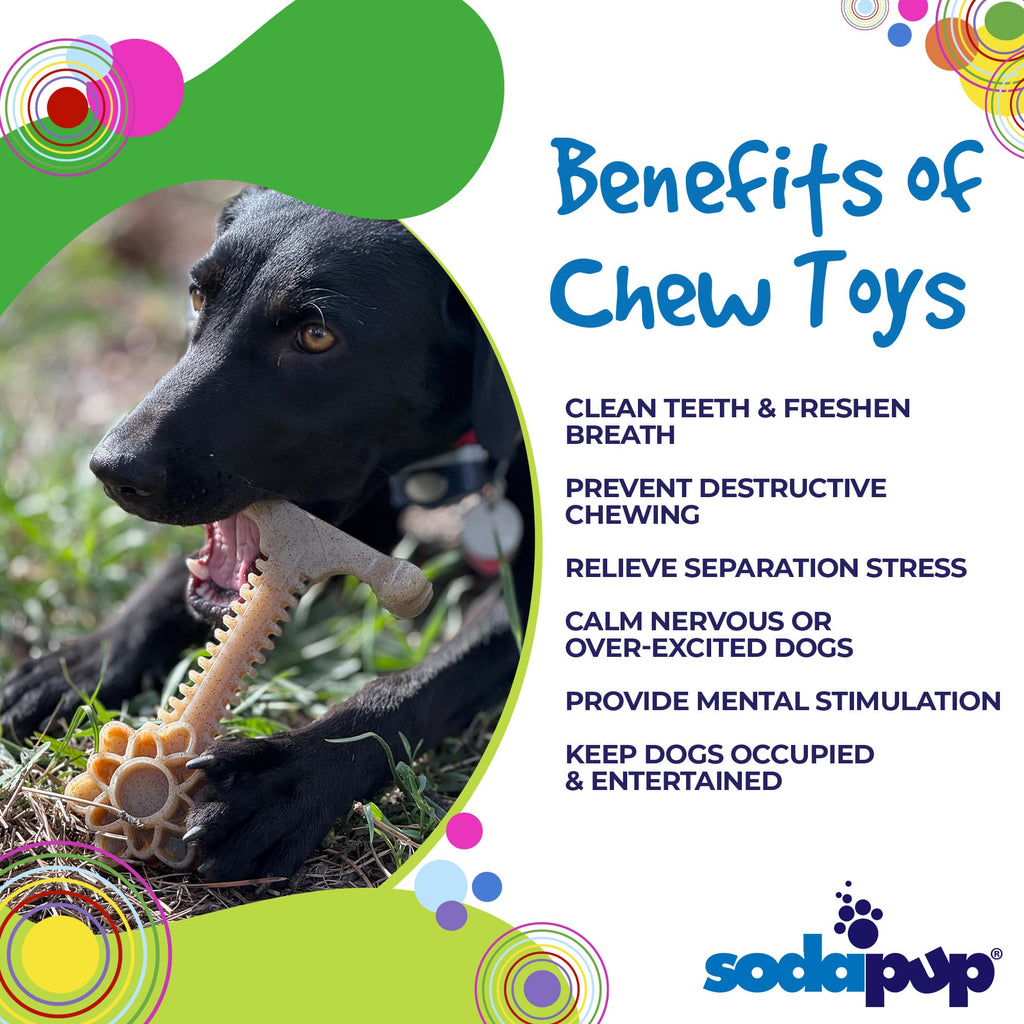 Honey Bone Dental Flower Tower Chew Toy for Medium & Large Dogs