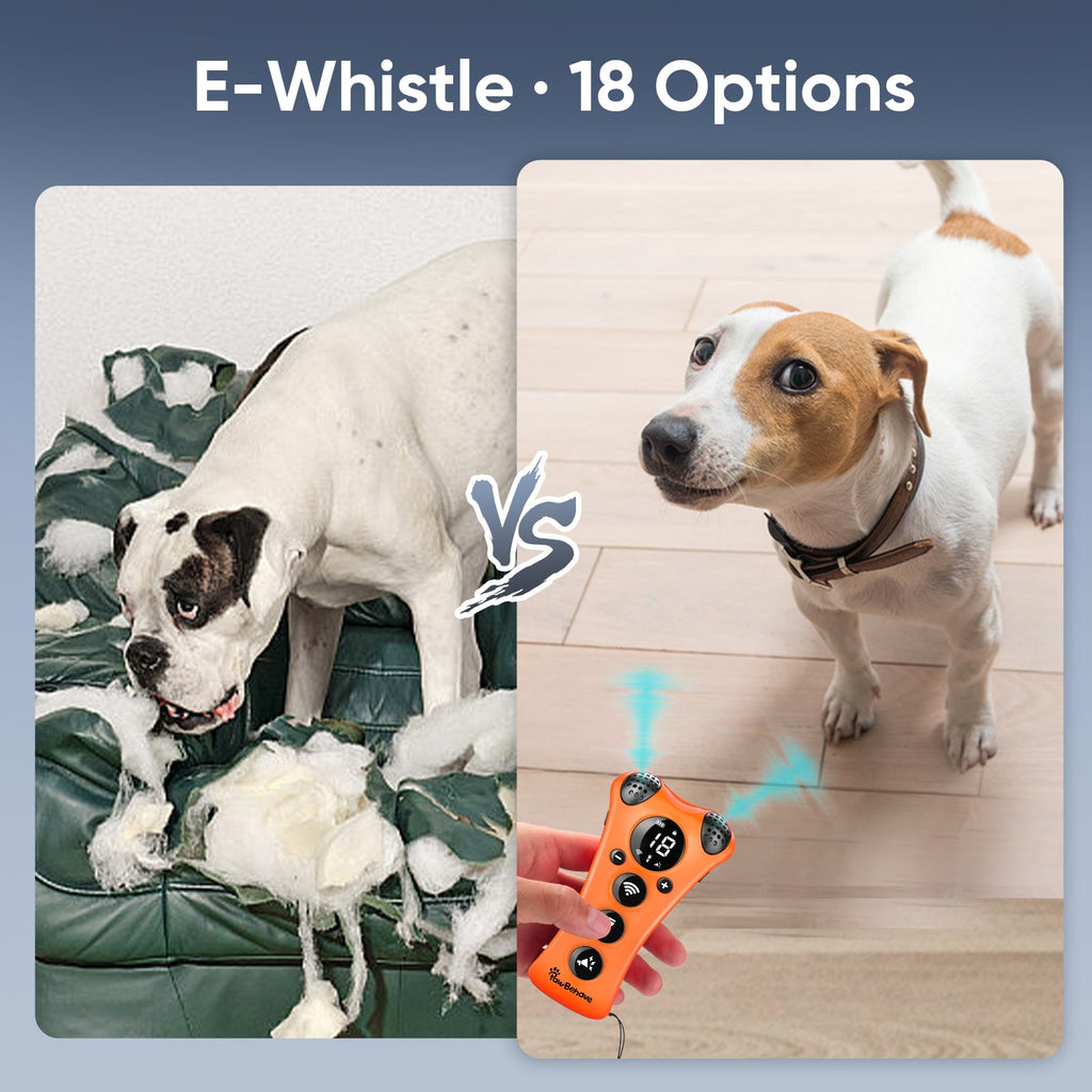 PawBehave Adjustable Ultrasonic Dog Trainer with LED Flashlight