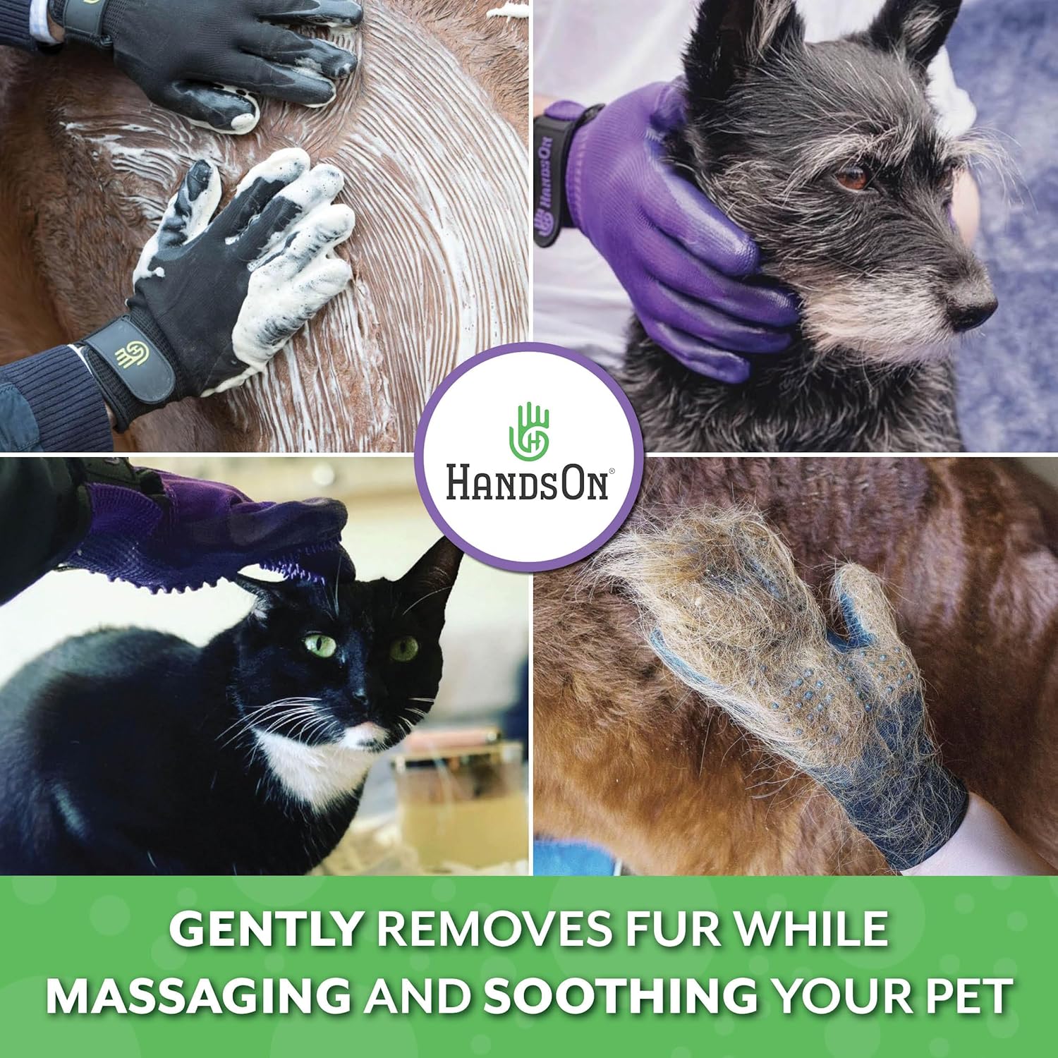 Aloe & Oats Pet Grooming Kit with HandsOn Gloves (Small)