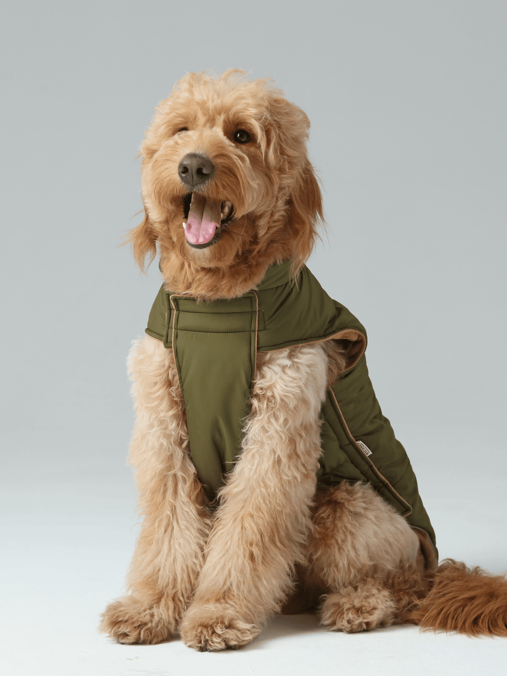 Reversible Dog Jacket with Polar Fleece Lining and Reflective Trim