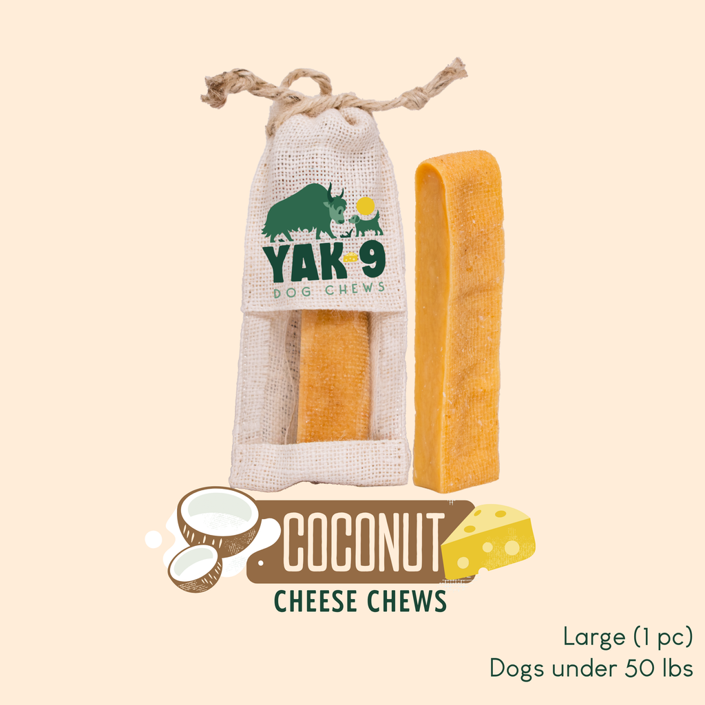 Coconut Cheese Dog Chews with Yak and Cow Milk