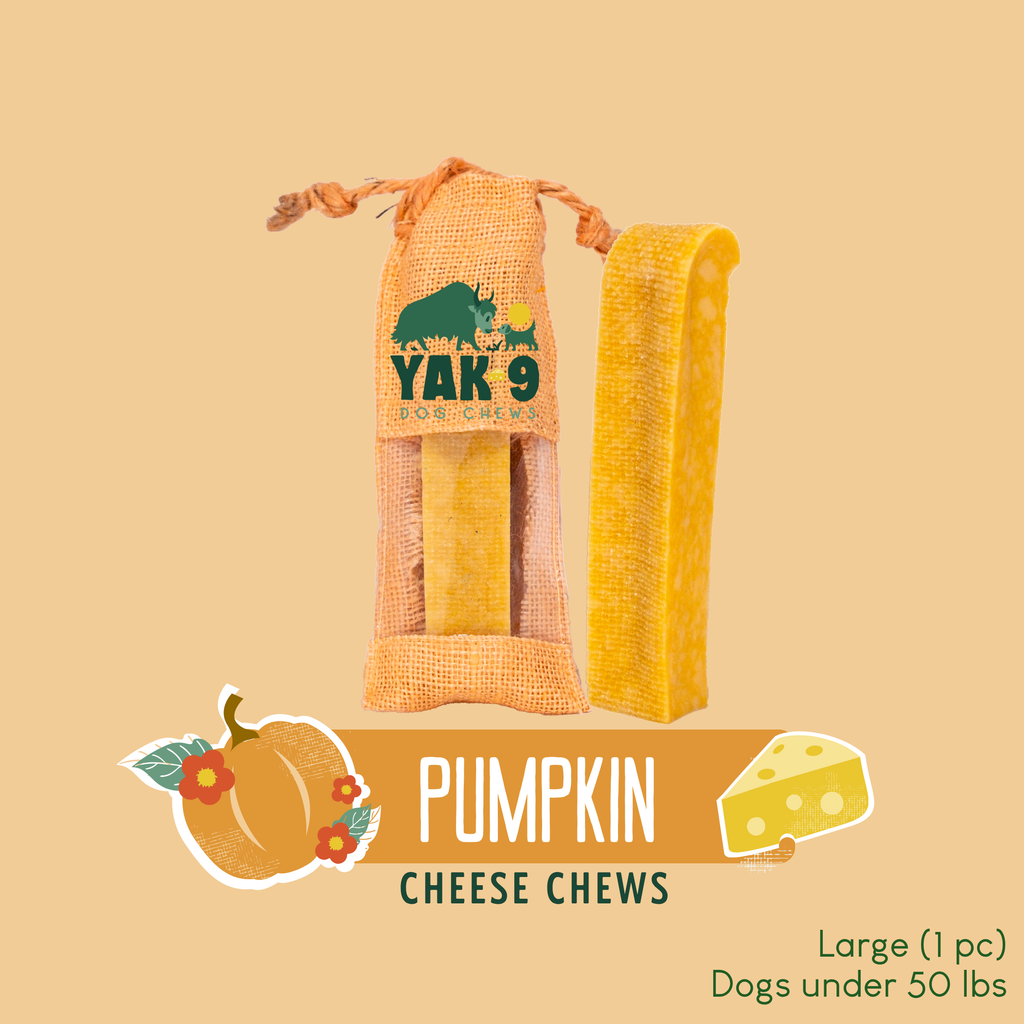 Pumpkin Yak Cheese Dog Chews with Organic Pumpkin