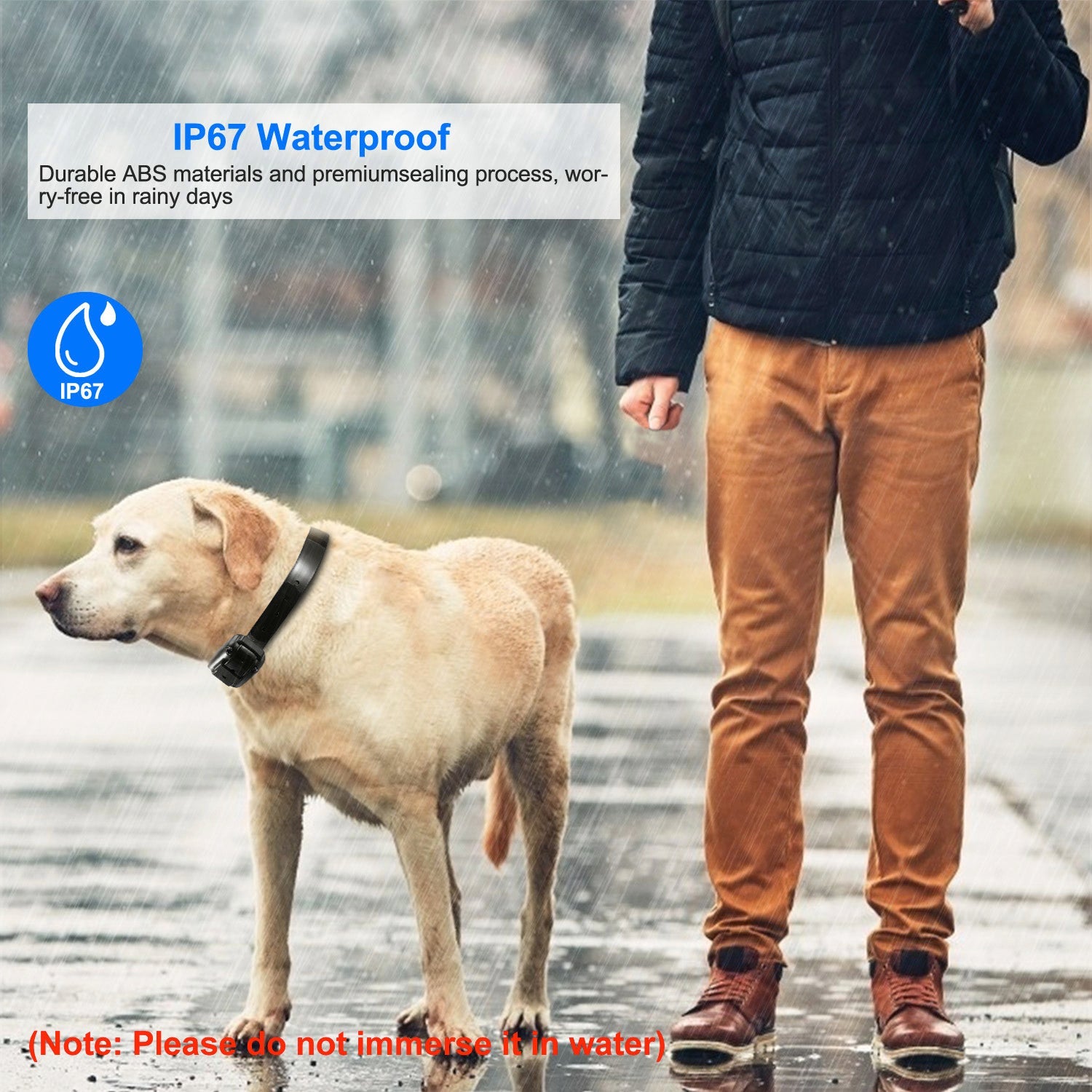 Dog Training Collar Receiver – Waterproof, Adjustable Fit