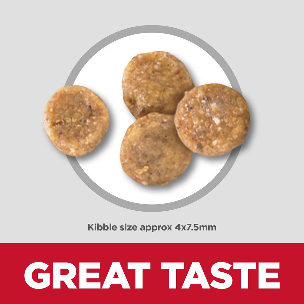Dry Dog Food for Small Dogs with Sensitive Stomachs and Skin