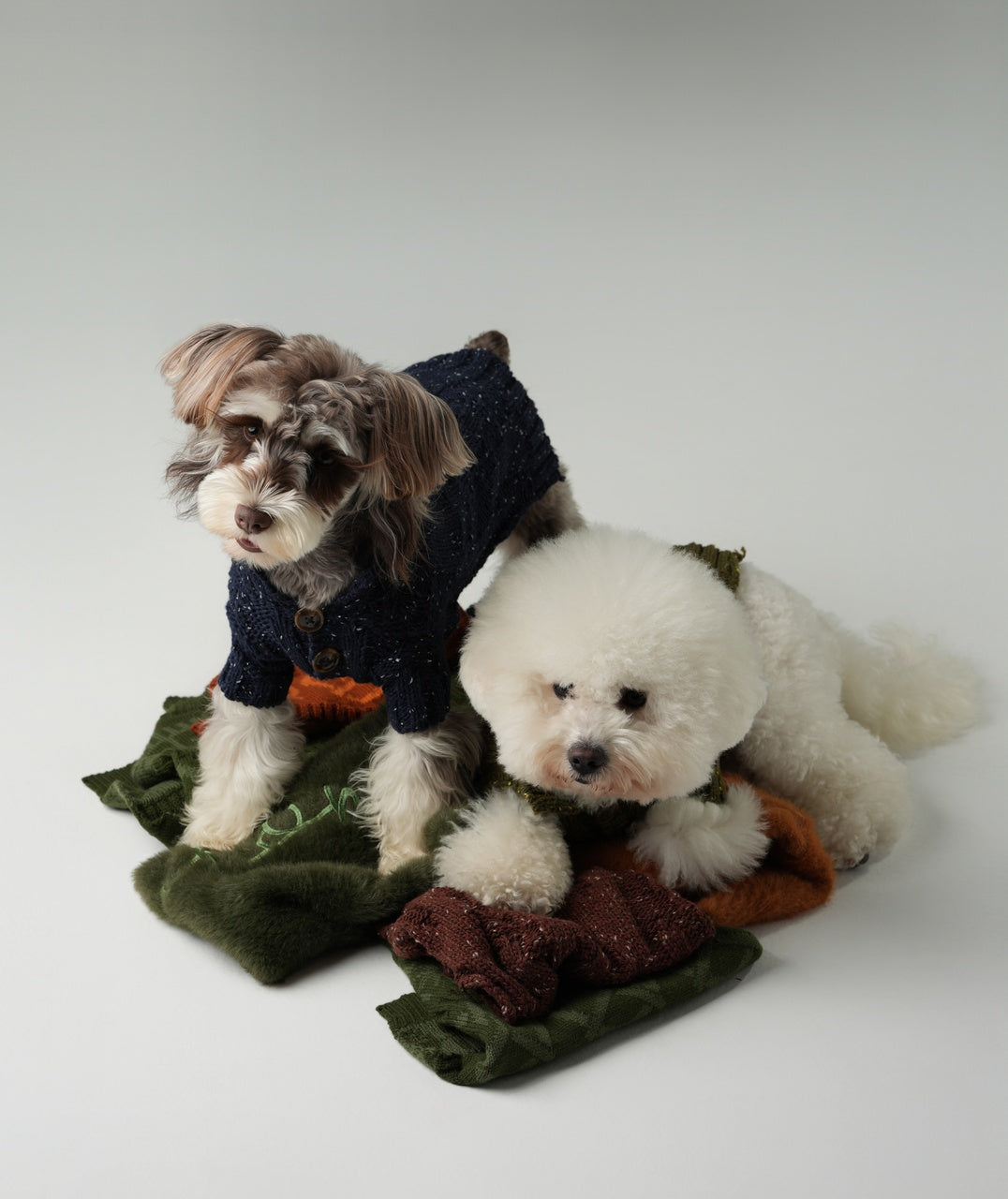 High-Neck Textured Knit Dog Sweater with Chest Buttons
