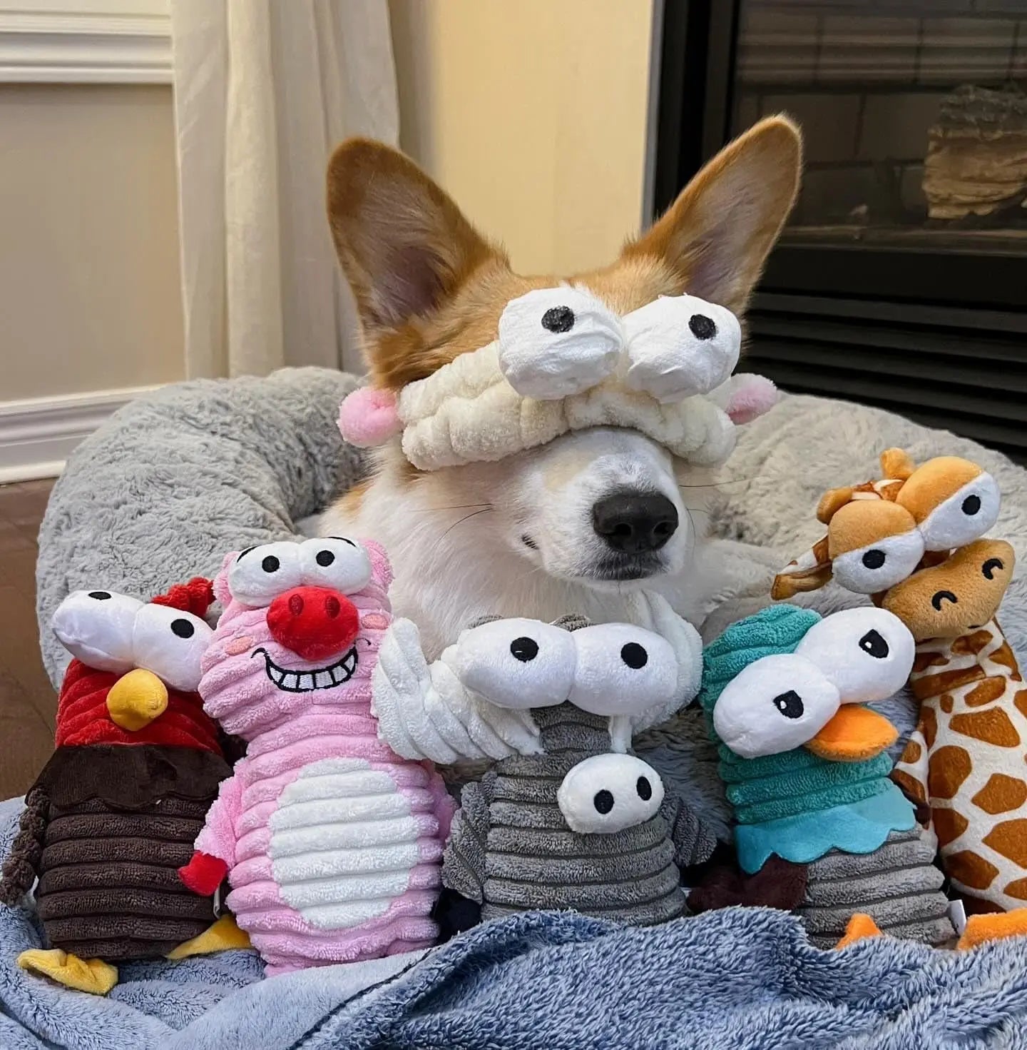 Plush Squeaky Dog Toy Set, 5 Animal Characters