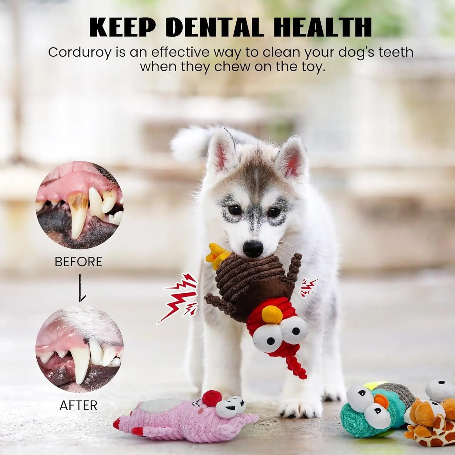 Plush Squeaky Dog Toy Set, 5 Animal Characters