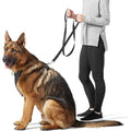 Reflective 5-Foot Black Dog Leash – Durable Polyester Webbing