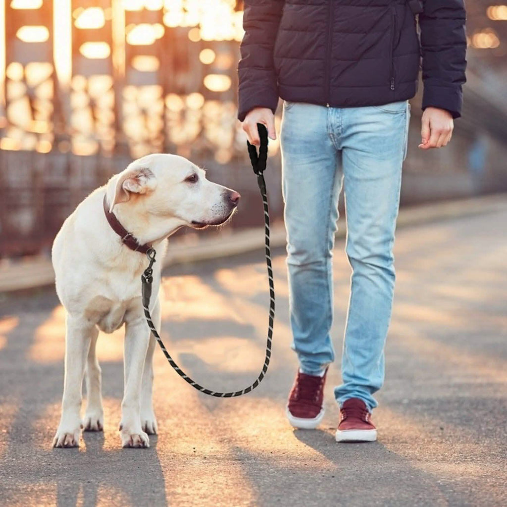 Reflective Double Dog Leash with Padded Handle, 5 ft, for Small/Medium Dogs