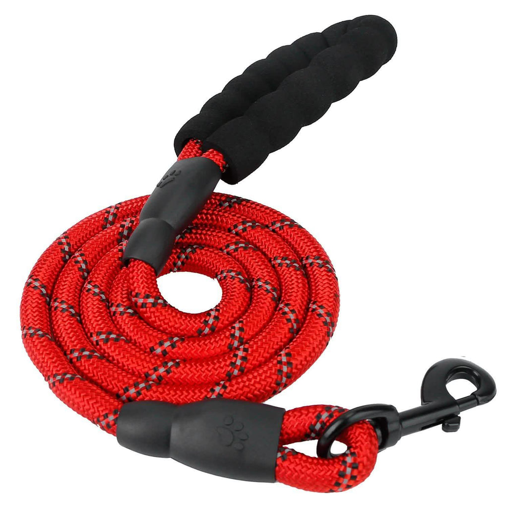 Reflective Double Dog Leash with Padded Handle, 5 ft, for Small/Medium Dogs