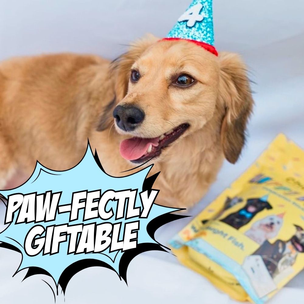 Dog Treat Variety Bundle with Soft Jerky and Crunchy Snacks