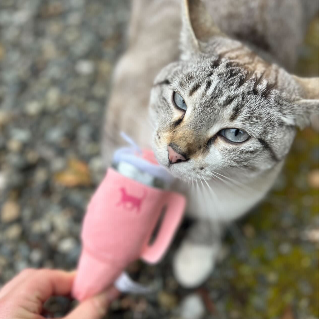 PUPROAR Kitty Cup Plush Cat Toy with Catnip and Crinkle Paper