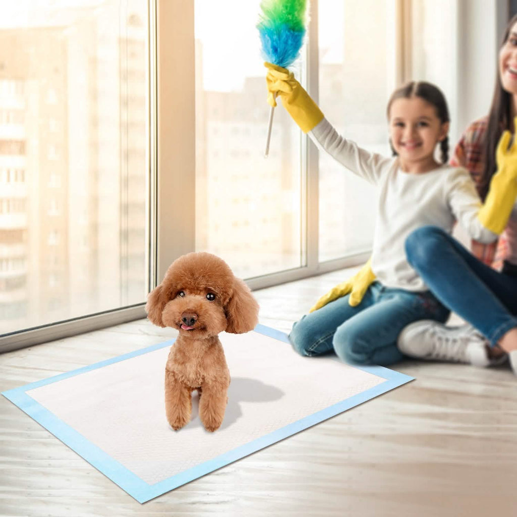 Dog Training Pads, 24" x 18", 50-Pack, Super Absorbent