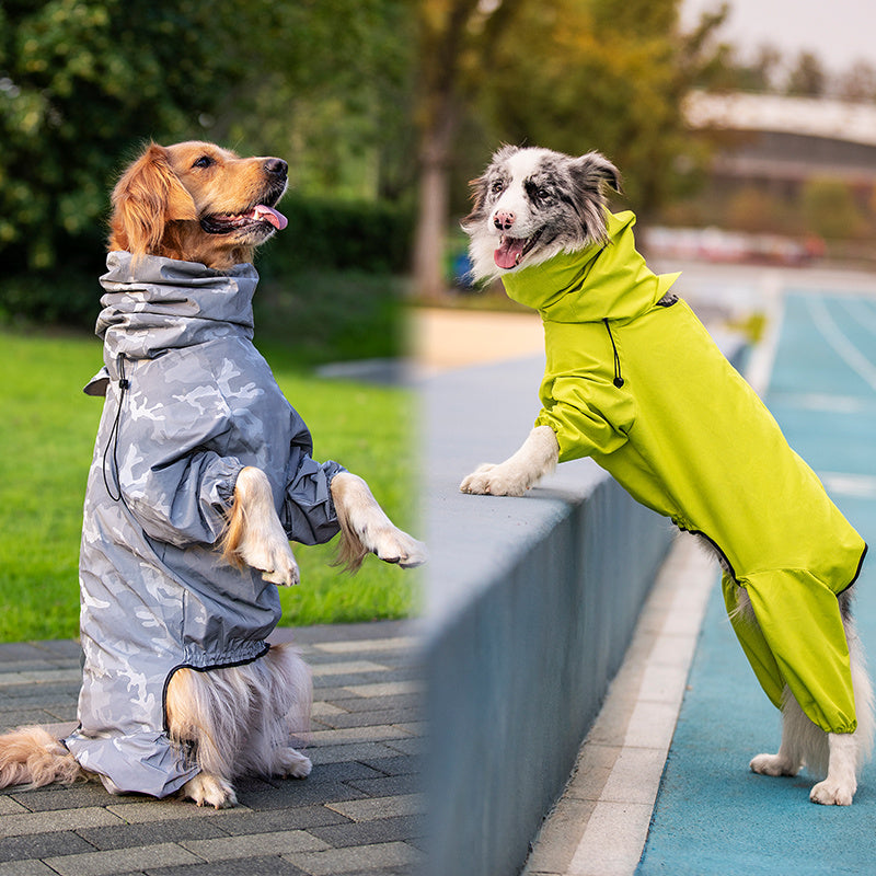 Sporty Four-Leg Dog Outfit in Silver or Emerald Green, Polyester