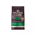 Grain-Free Lamb & Vegetable Dry Dog Food for Adults