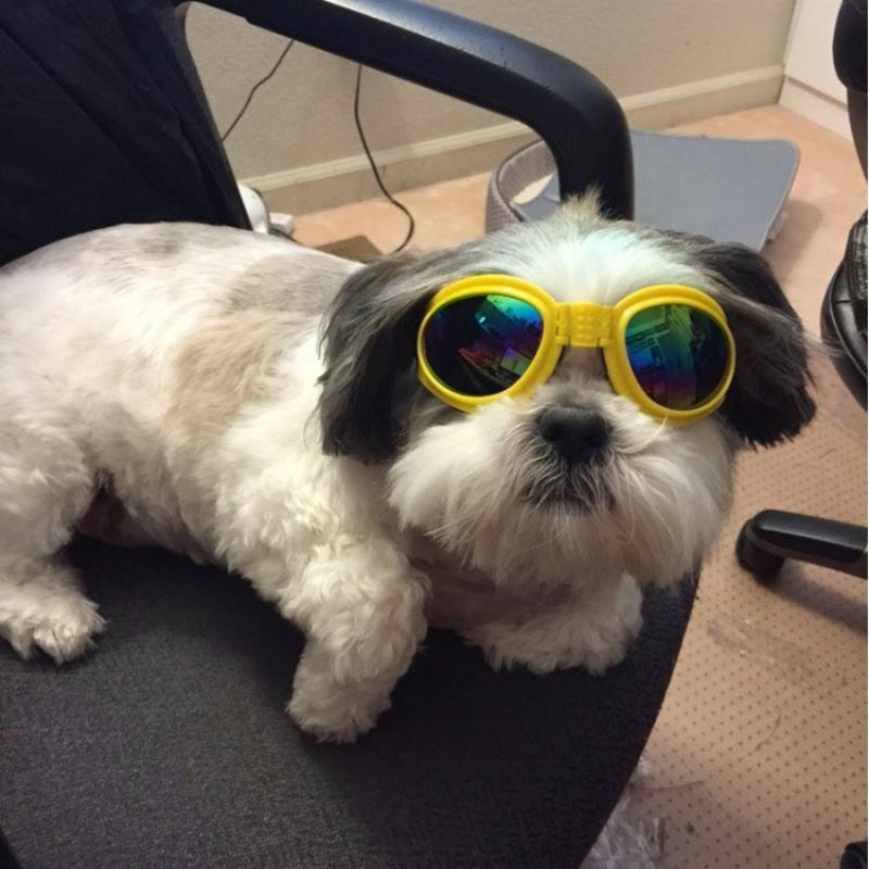 Dog Sunglasses for Medium and Large Dogs, Adjustable Fit, Plastic Frame