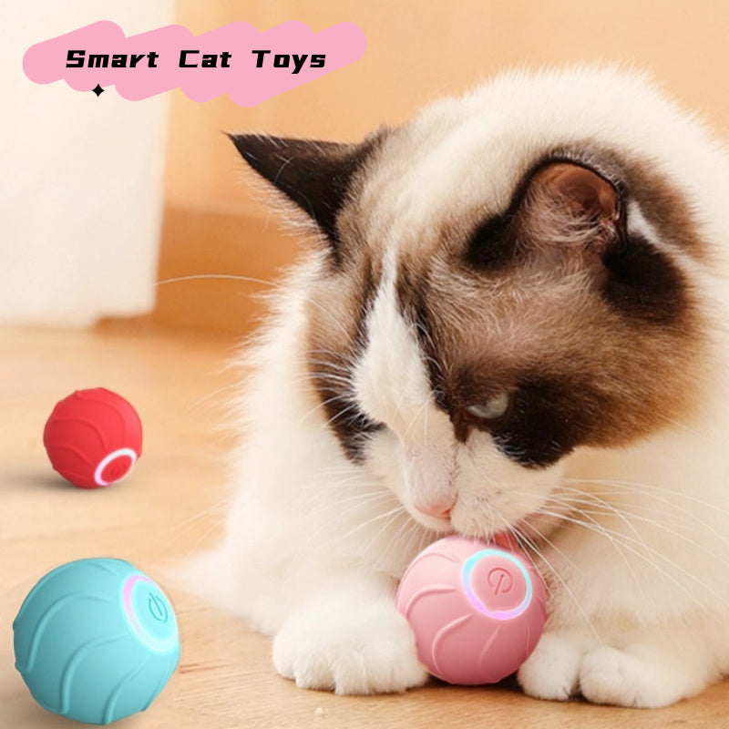 Durable Silicone Pet Toy Ball for Dogs and Cats